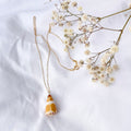 Kaua’i Cone Shell Necklace