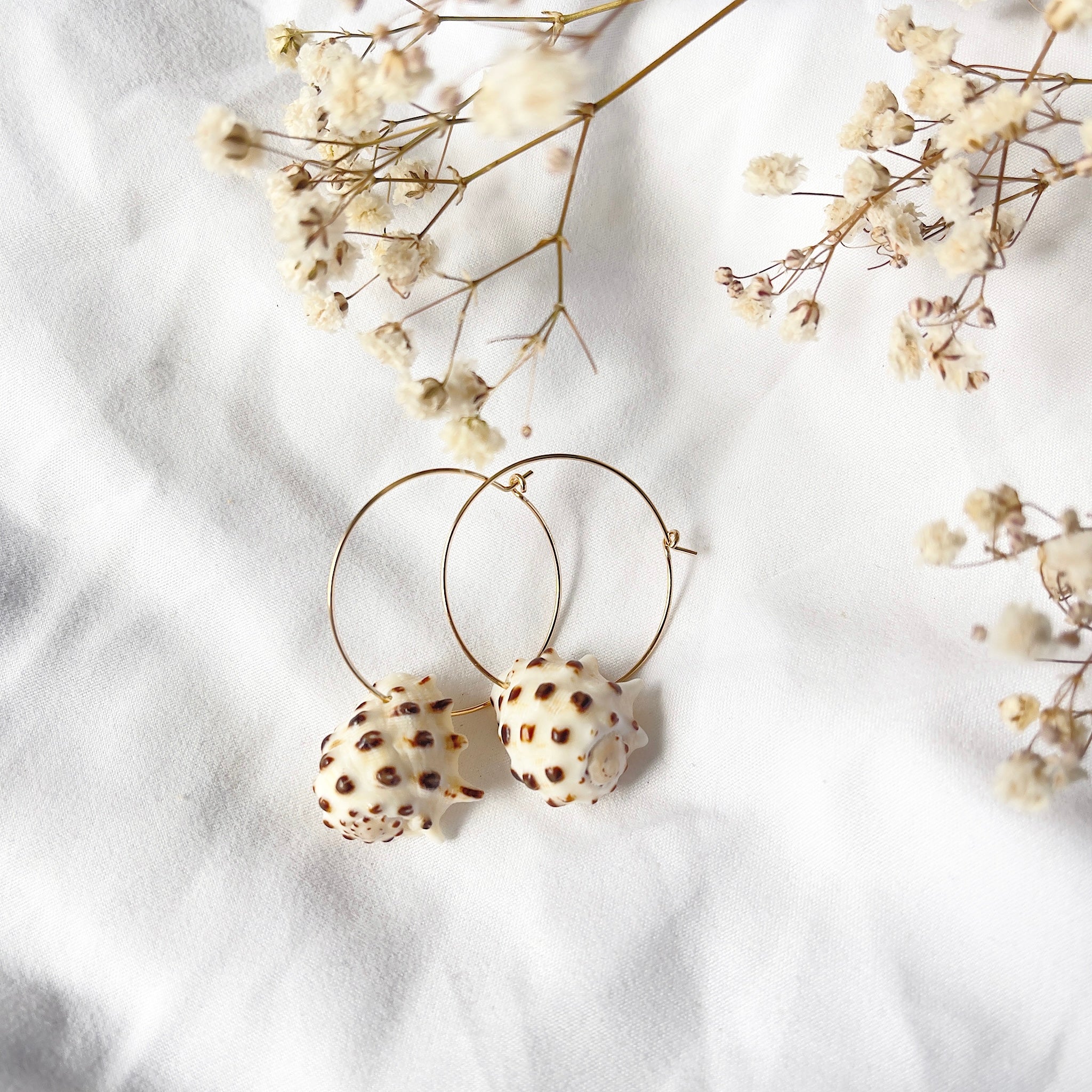 Kaua’i Drupe Shell Hoops