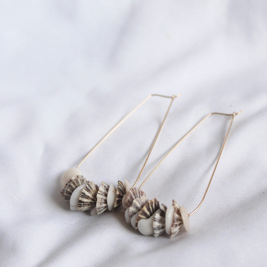 Opihi & Puka Shell Tear drop Hoops